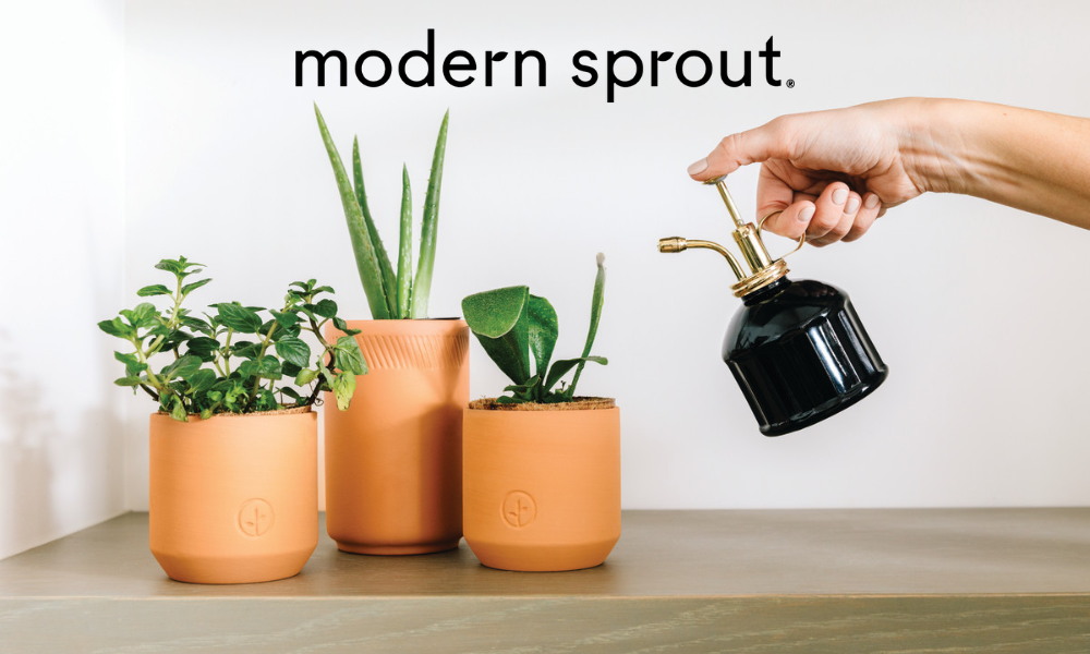modern sprout grow kits and candles